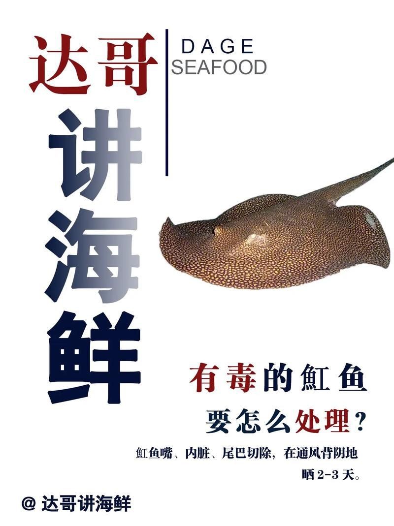 魟魚圖片 魟魚圖片 龍魚論壇 第21張