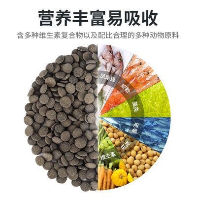 六角恐龍魚飼料