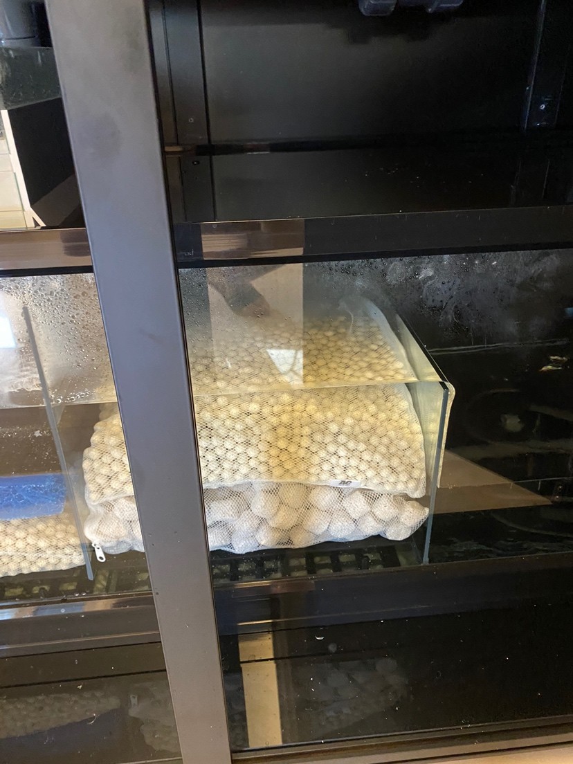 漁友們幫看下濾材夠嘛 漁友們幫看下濾材夠嘛 龍魚百科 第2張