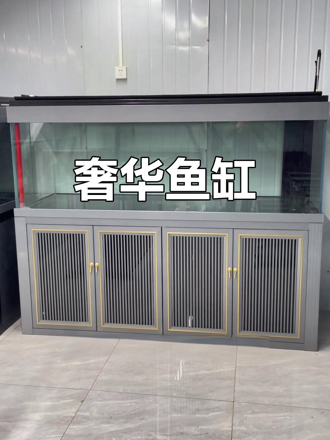 給我推薦幾款適合飼養(yǎng)龍魚的魚缸