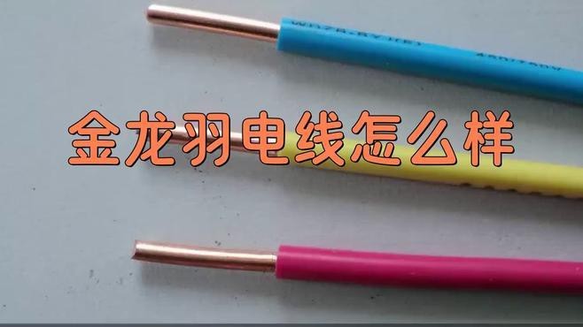 金龍羽的傳統電纜業務如何？