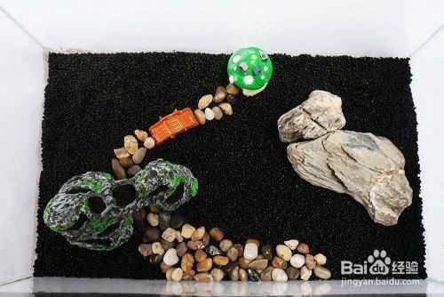繁殖期魚缸水草種植指南：水草繁殖期水質管理技巧
