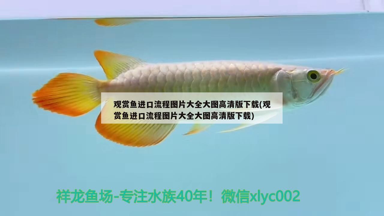 寧陽縣佳藝觀賞魚養殖有限公司（寧陽縣佳藝觀賞魚養殖有限公司電話）