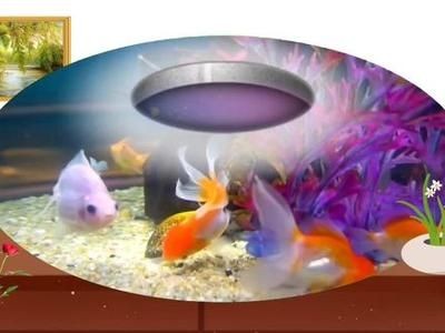 輝客映上魚缸：輝客映上魚缸的用戶評價匯總