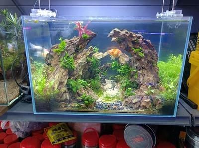 海水觀賞魚缸基本配置圖海水觀賞魚缸基本配置圖：建立一個海水觀賞魚缸的基本配置