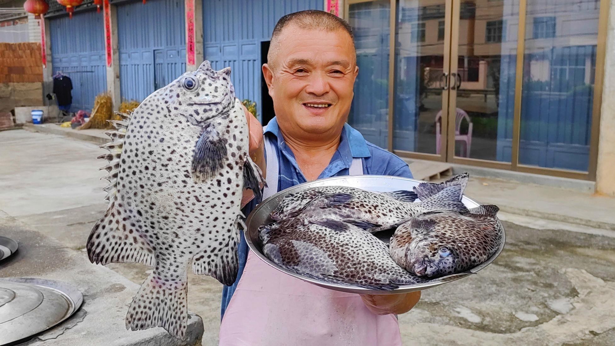 鯛魚什么檔次