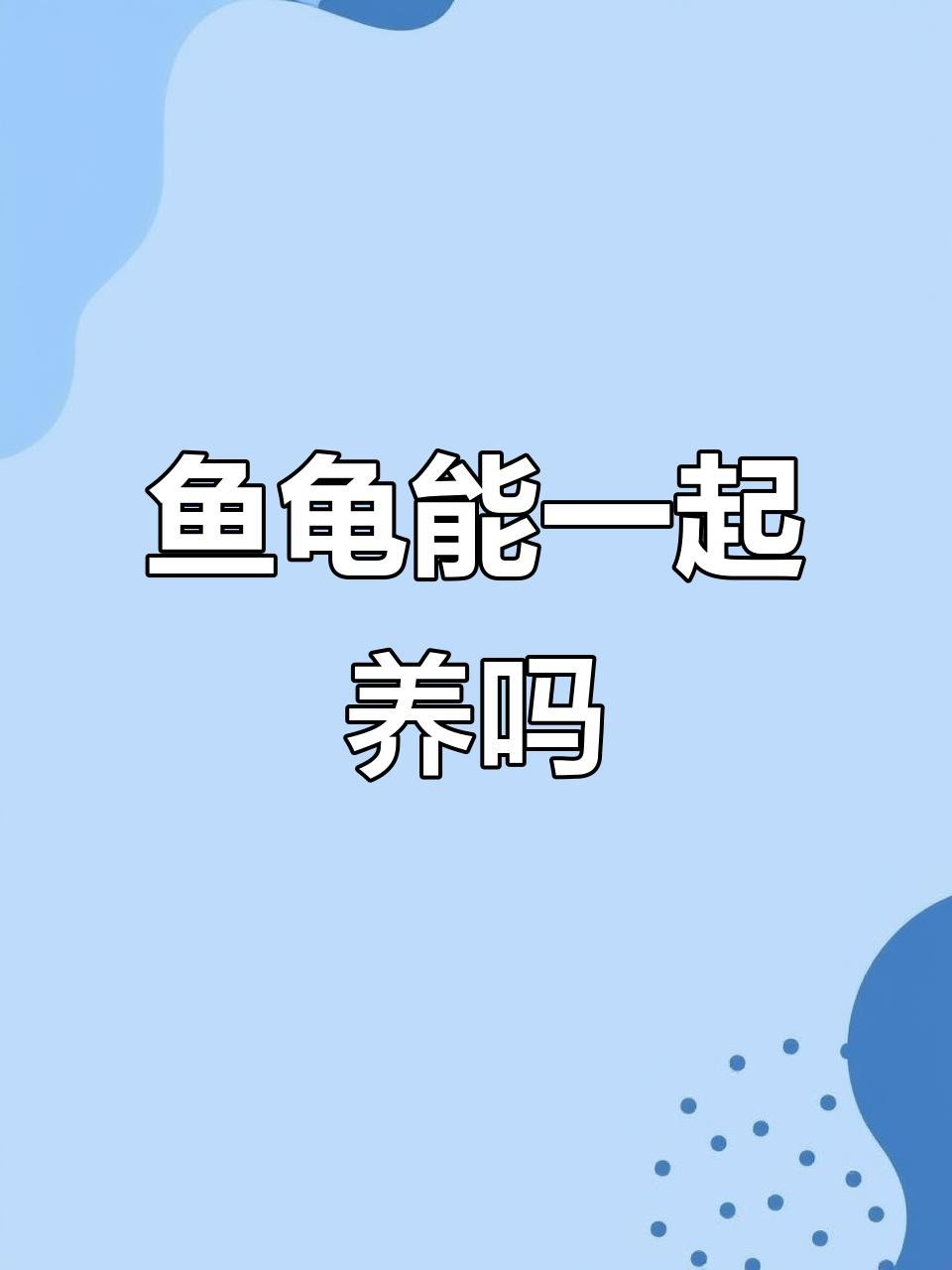 龍魚和烏龜混養(yǎng)多久會適應？