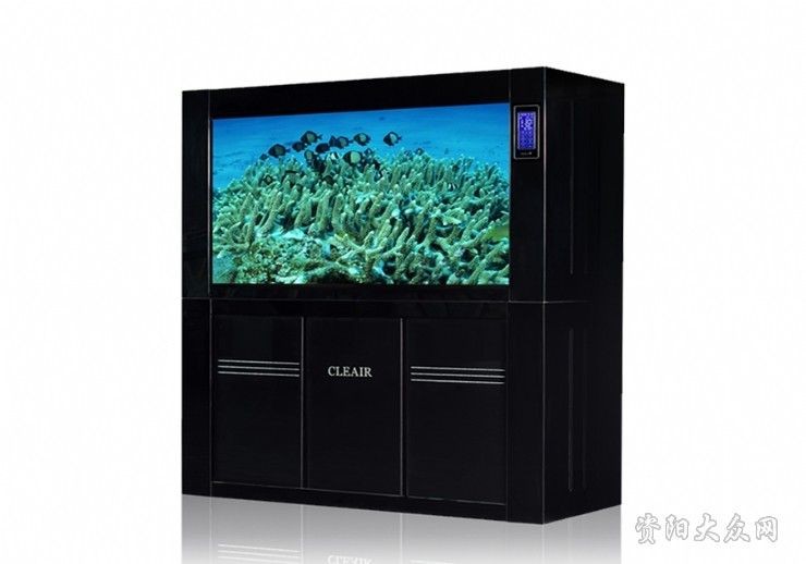 可麗愛（CLEAIR）魚缸：可麗愛魚缸怎么樣