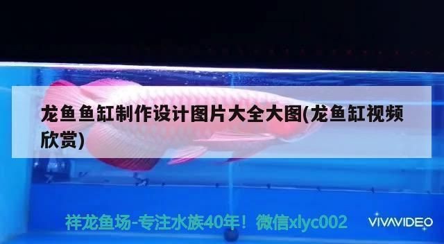 龍魚專用魚缸怎么做視頻：自制龍魚專用魚缸步驟詳解 龍魚專用魚缸怎么做視頻：自制龍魚專用魚缸步驟詳解 魚缸百科 第2張