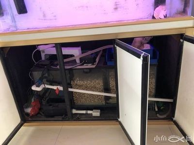 加熱棒、魚缸和底濾的區別：加熱棒、魚缸和底濾的關系