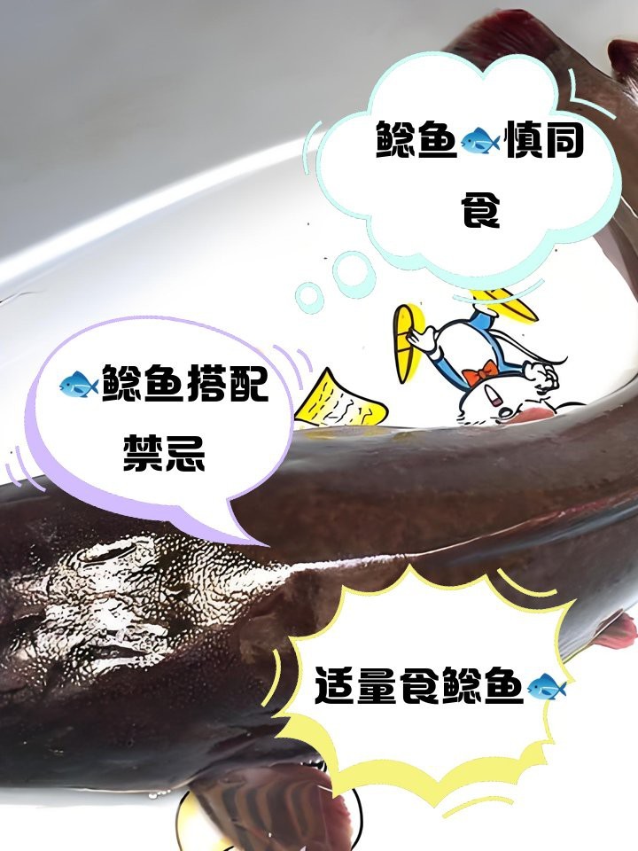 鯰魚相克食物一覽表