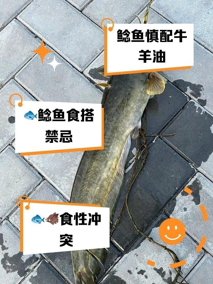 鯰魚相克食物一覽表