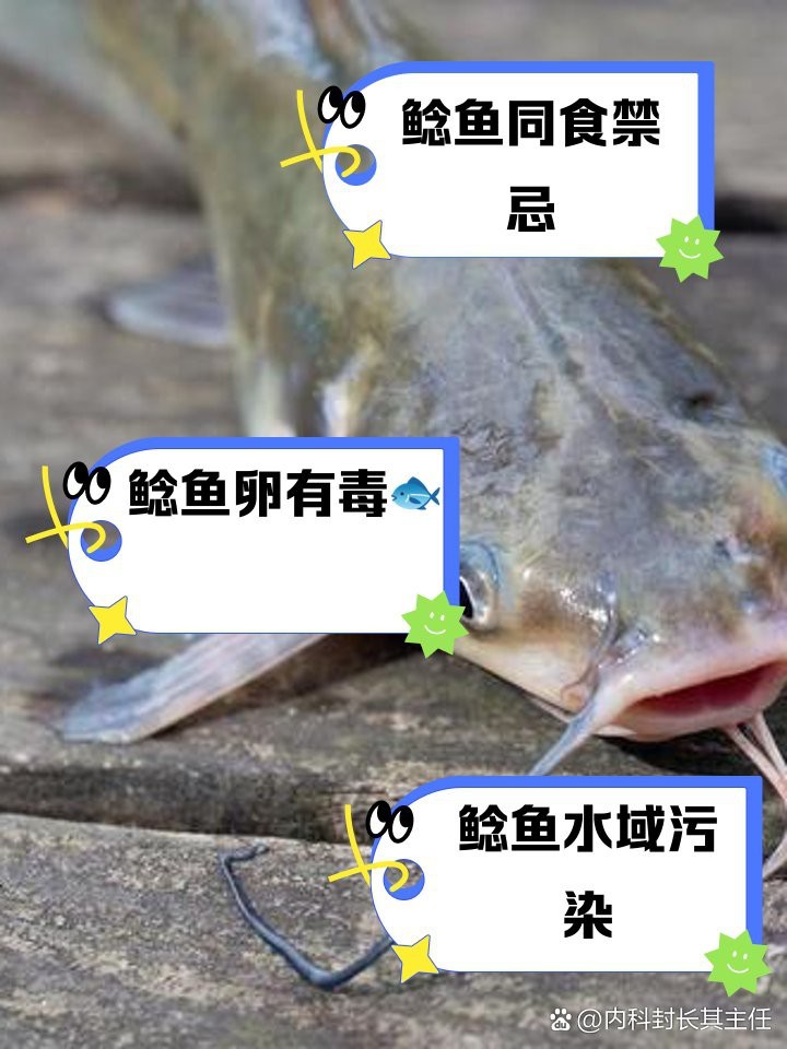 鯰魚相克食物一覽表
