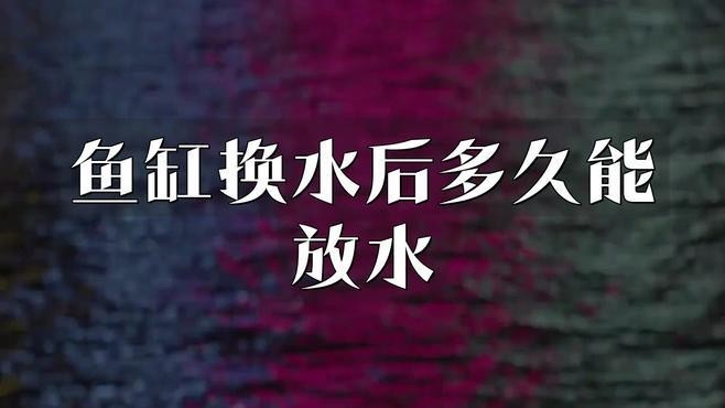 龍魚換缸后多久可以放魚