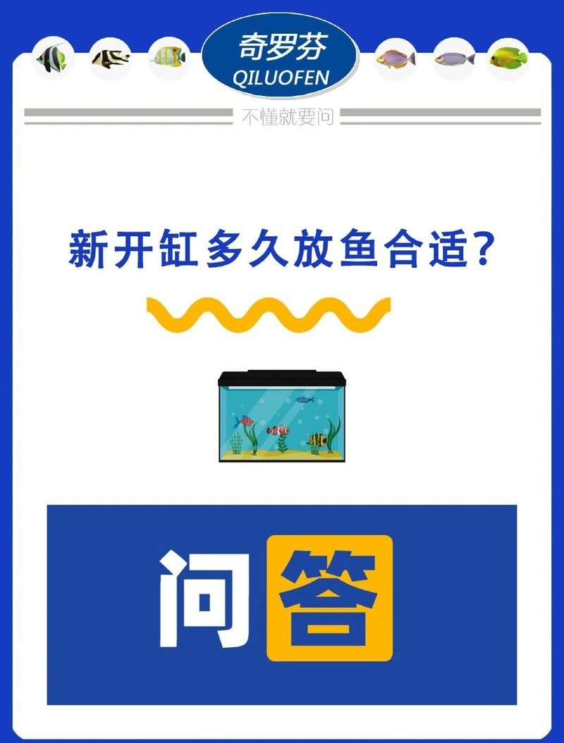 龍魚換缸后多久可以放魚