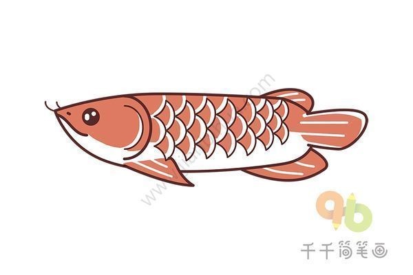 游龍魚多久換一次水，游龍魚多久換一次水？ 游龍魚多久換一次水，游龍魚多久換一次水？ 龍魚百科 第2張