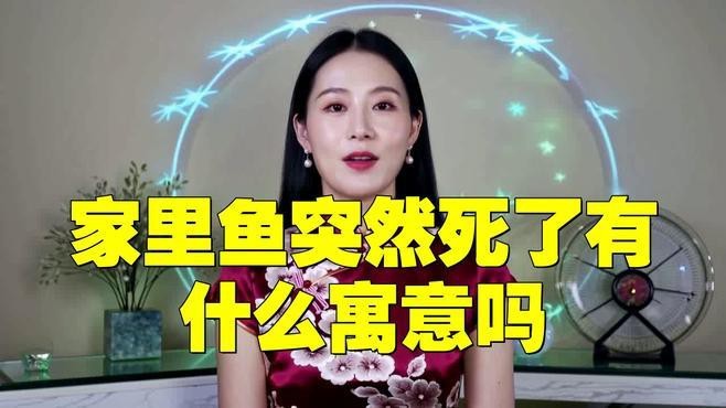 龍魚死亡是否影響風水？