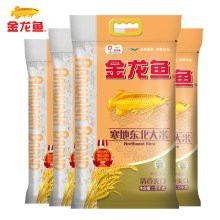金龍魚10斤左右多少錢