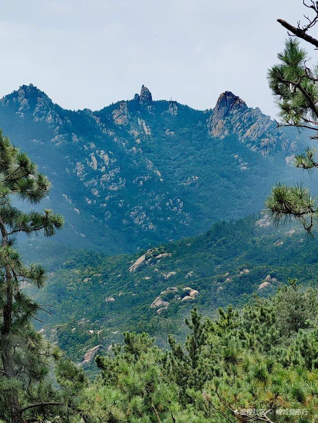青島嶗山風(fēng)景區(qū)攻略 青島嶗山風(fēng)景區(qū)攻略 龍魚論壇 第2張