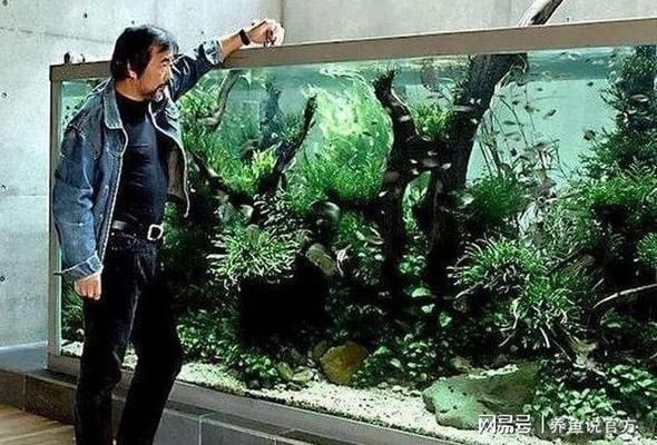 魚(yú)缸有不用換水的嗎圖片欣賞，生態(tài)魚(yú)缸內(nèi)部結(jié)構(gòu)圖解