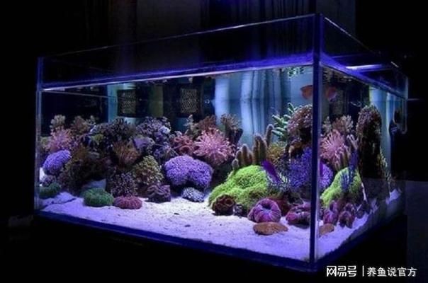 魚(yú)缸有不用換水的嗎圖片欣賞，生態(tài)魚(yú)缸內(nèi)部結(jié)構(gòu)圖解