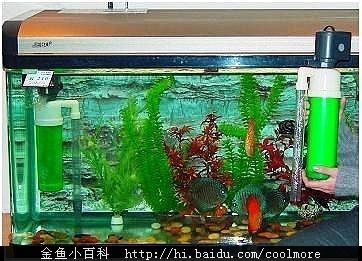 魚(yú)缸有不用換水的嗎圖片欣賞，生態(tài)魚(yú)缸內(nèi)部結(jié)構(gòu)圖解