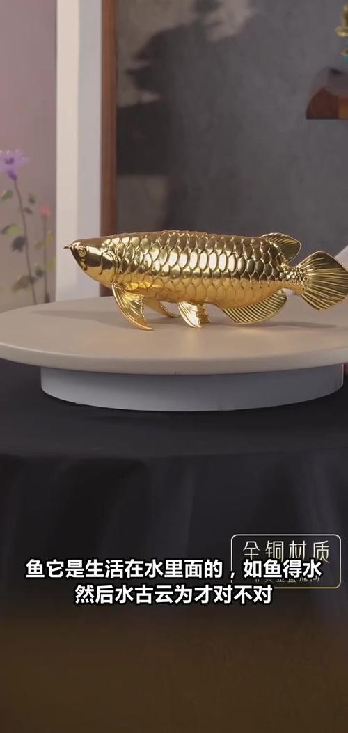 家中金龍魚擺件怎么擺