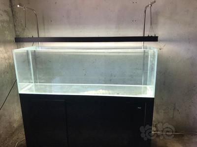 彩蝶魚缸在哪里生產(chǎn)?(彩蝶魚缸在哪里生產(chǎn)) 魚缸百科 第3張 彩蝶魚缸在哪里生產(chǎn)?(彩蝶魚缸在哪里生產(chǎn)) 彩蝶魚缸在哪里生產(chǎn)?(彩蝶魚缸在哪里生產(chǎn)) 魚缸百科 第3張