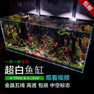 金晶魚缸哪里生產的好：金晶超白玻璃分建筑級和家俬級與建筑級區別