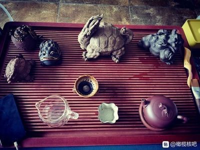 茶寵可以放在魚缸里嗎為什么：茶寵可以放在魚缸里嗎