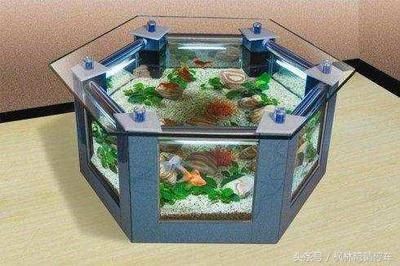 魚缸形狀對風水的影響：魚缸形狀對風水有何影響？