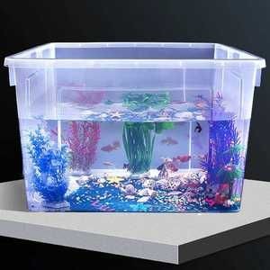 水草缸的魅力探索：如何選擇好養的觀賞魚品種 水草缸的魅力探索：如何選擇好養的觀賞魚品種 魚缸百科 第2張