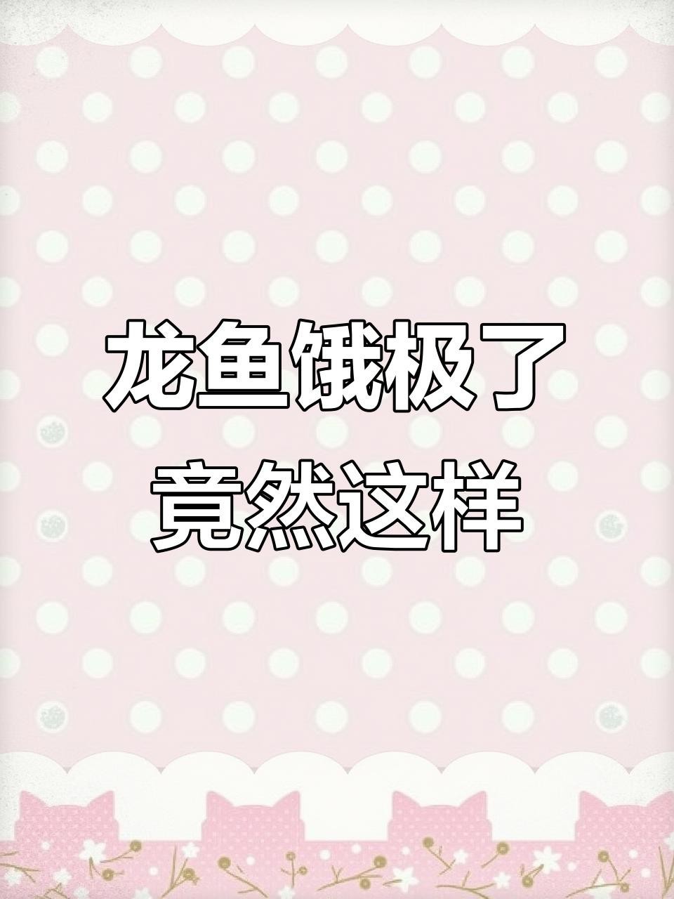 紅龍魚(yú)餓了會(huì)有什么表現(xiàn)？