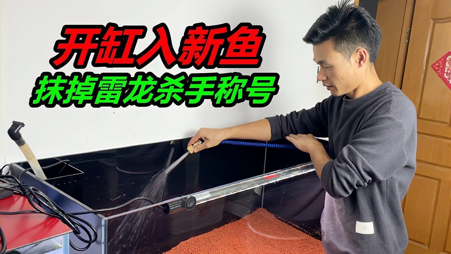 雷龍魚養殖需要哪些設備？