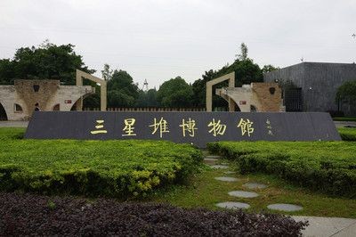 順水族精品魚缸店：廣漢市水族愛好者的聚集地廣漢市水族愛好者的聚集地