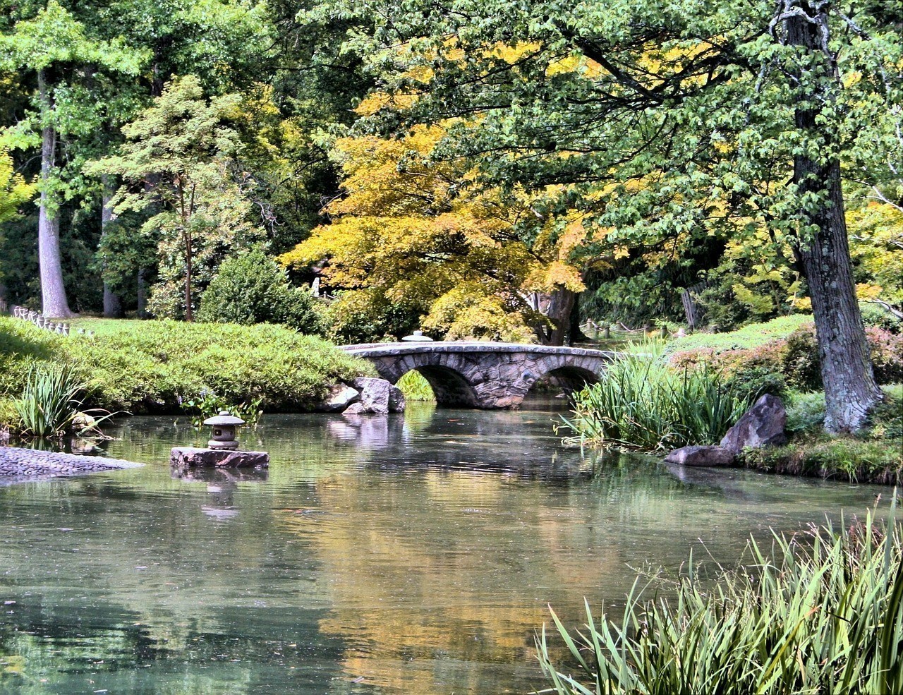 麻城市西環路大自然園藝坊（麻城市西環路大自然園藝坊地址） 麻城市西環路大自然園藝坊（麻城市西環路大自然園藝坊地址） 全國水族館企業名錄 第4張