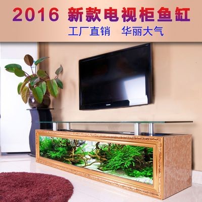 地缸魚缸：地缸魚缸的選購技巧