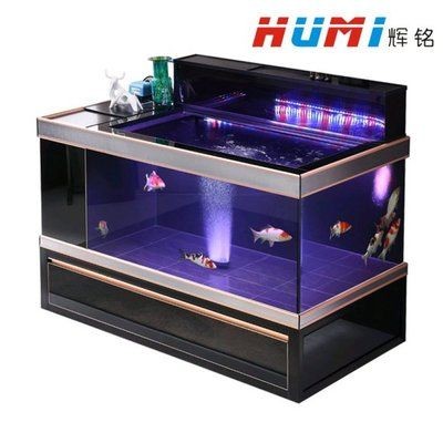 地缸魚缸：地缸魚缸的選購技巧