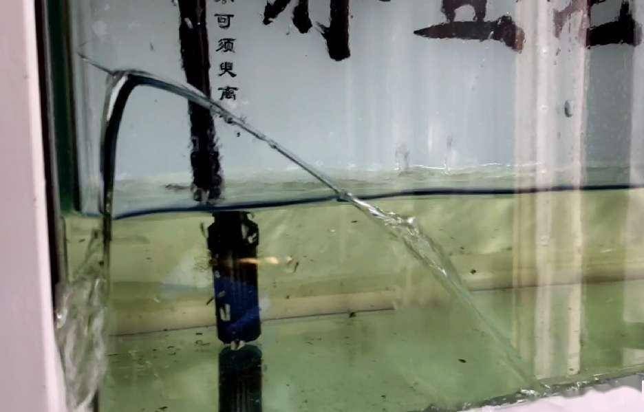 粘接鋼化玻璃魚缸需要特別注意的步驟和技巧和技巧：粘接鋼化玻璃魚缸需要注意什么？