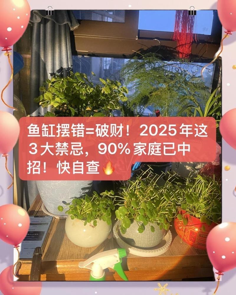 龍魚缸的最忌三個地方 龍魚缸的最忌三個地方 龍魚論壇 第8張
