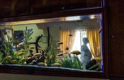 過濾桶魚缸糞便吸不干凈怎么解決呢（魚缸生態系統的構建與維護構建與維護構建與維護構建）