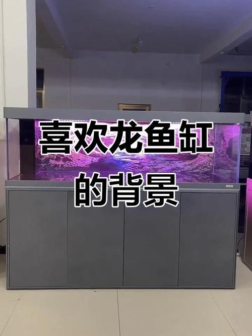 龍魚缸什么背景圖片好看