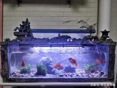 合肥市包河區青藤花坊鮮花店（合肥市包河區青藤花坊鮮花店電話）