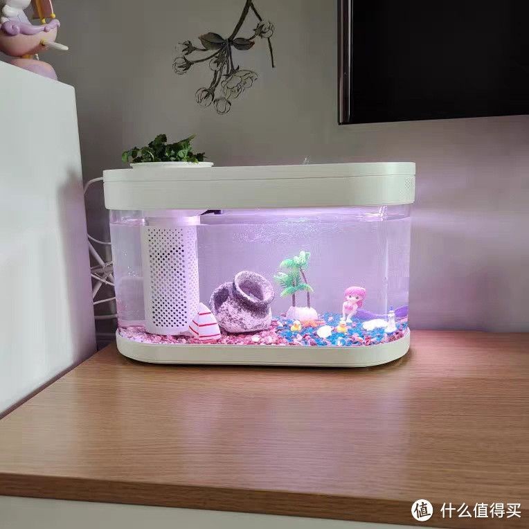 魚缸推薦什么牌子的（魚缸推薦什么牌子的牌子的魚缸推薦什么牌子的）