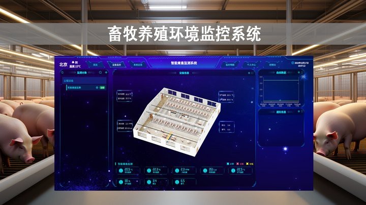 雙養龍貓需要準備哪些設施？