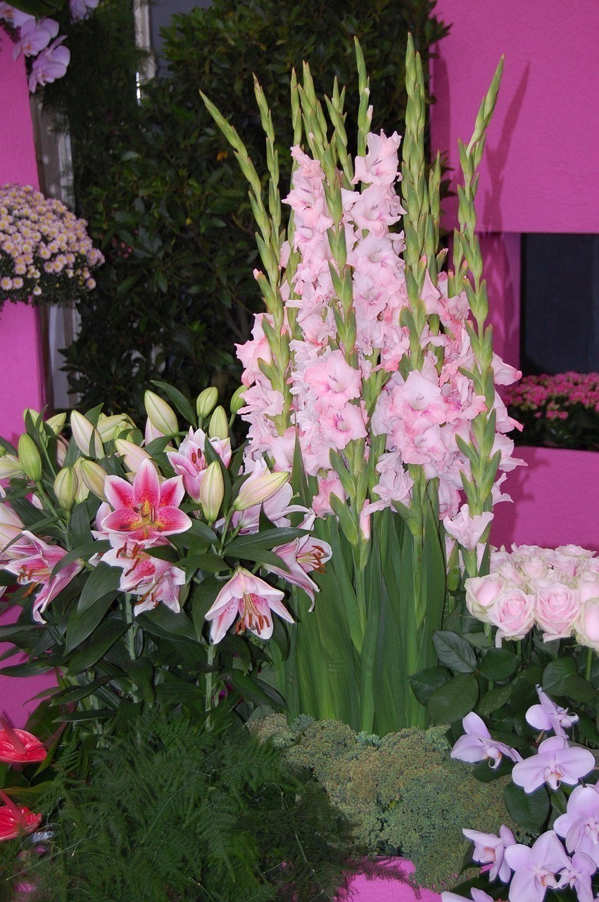 高臺縣花香魚悅花卉經(jīng)營部（高臺縣花香魚悅花卉經(jīng)營部地址）