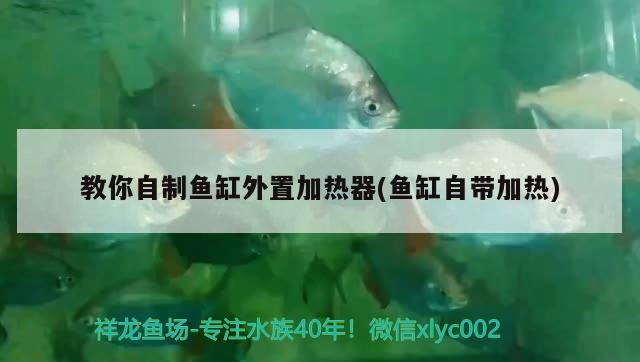 晉江市陳埭鎮(zhèn)同連鮮花店