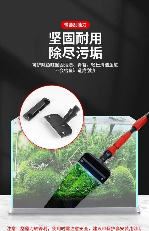 龍魚缸需要放清道夫嗎