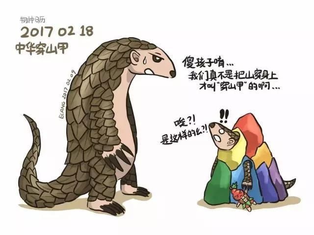 龍魚長多長：龍魚的生長長度及種類