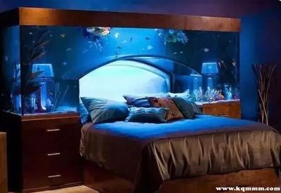 床頭適合放魚(yú)缸嗎：床頭柜上放置魚(yú)缸會(huì)影響家居風(fēng)水嗎？